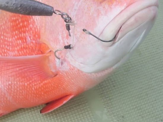 手ぶらでちょっと変わった船釣り体験！期間限定・時間延長オモック半日コース ロックフィッシュを狙おう！15歳から参加可能＜笠利町＞ by サラサの写真3
