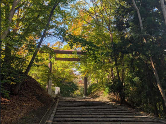 札幌森林浴ヨガ体験ツアー 円山公園＋北海道神宮＋六花亭和スイーツ＜2.5時間／円山公園駅集合＞