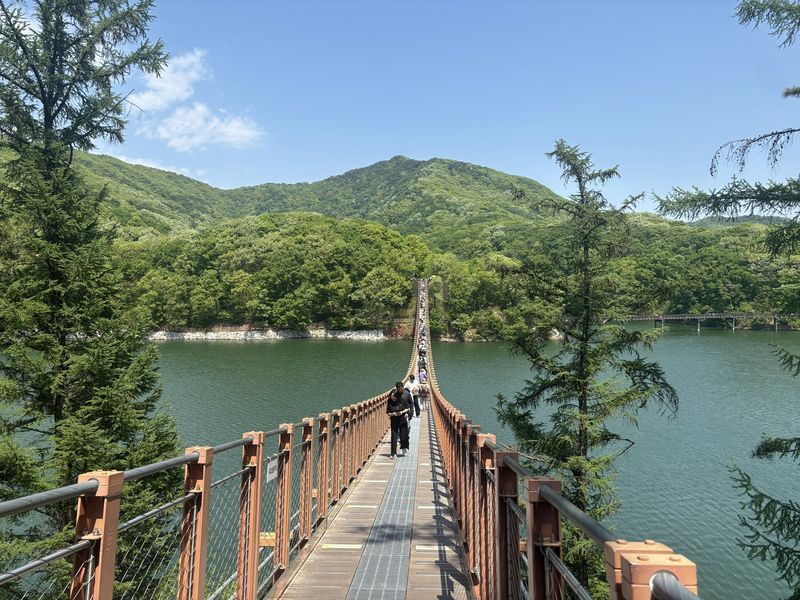 馬場湖の吊り橋1