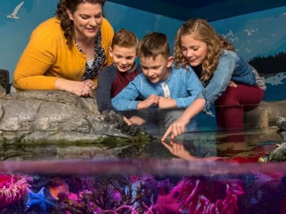 SEA LIFE Charlotte-Concord