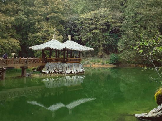alishan33