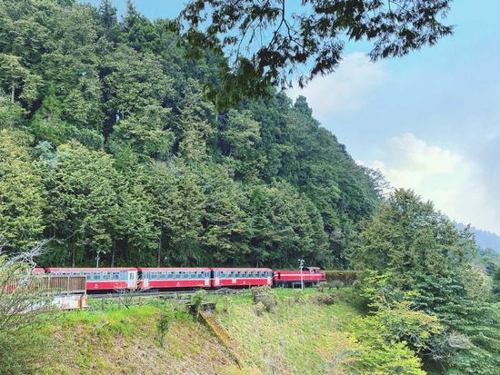 alishan11