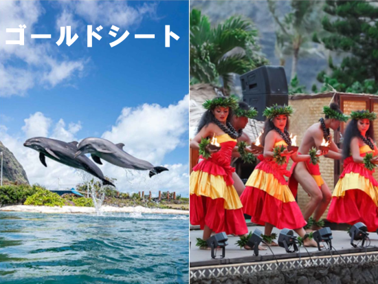 伝統ルアウ＆ハワイアンショー「アロハ・カイ・ルアウ」　ゴールドシート（前方席）＋シーライフパーク・ハワイ入場券＜送迎可／シーライフパーク内＞