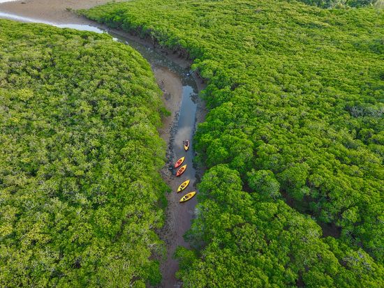 dji_fly_20260205_170116_0219_1770279286483_photo
