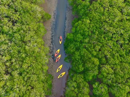 dji_fly_20260205_170154_0222_1770279277513_photo