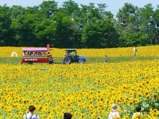 遊覧車