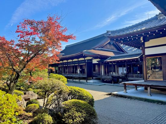 仁和寺御所庭園 拝観券 事前購入でスムーズ入場！