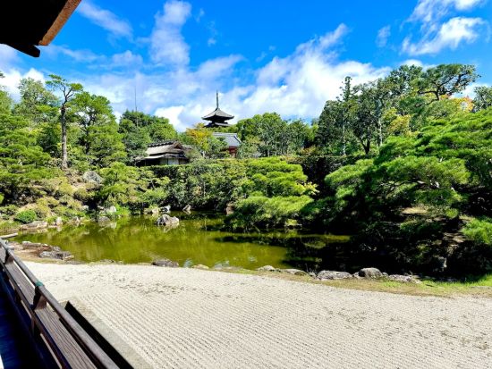 仁和寺御所庭園 拝観券 事前購入でスムーズ入場！