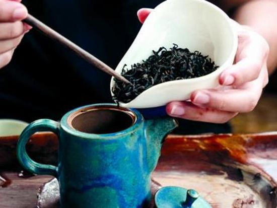 Mejia Tea Garden5