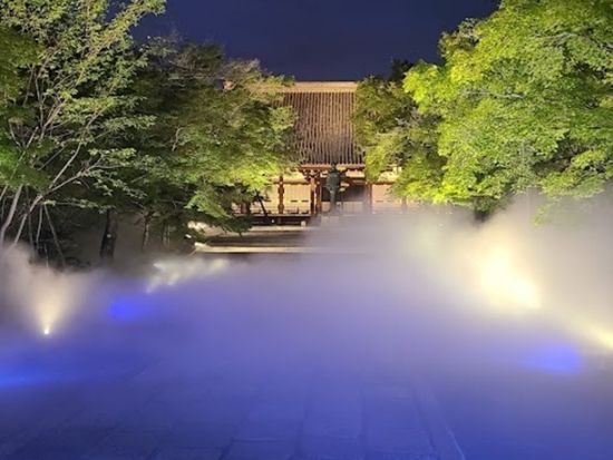 【期間限定！6月28日まで】仁和寺 青もみじ雲海ライトアップ 拝観券 事前購入でスムーズ入場！