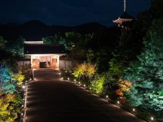 【期間限定！6月28日まで】仁和寺 青もみじ雲海ライトアップ 拝観券 事前購入でスムーズ入場！