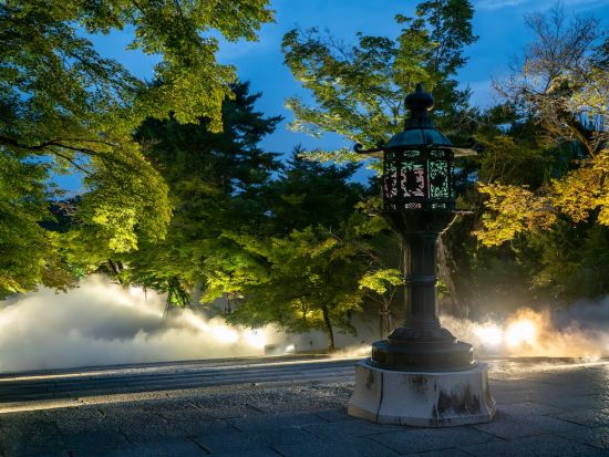 【期間限定！6月28日まで】仁和寺 青もみじ雲海ライトアップ 拝観券 事前購入でスムーズ入場！