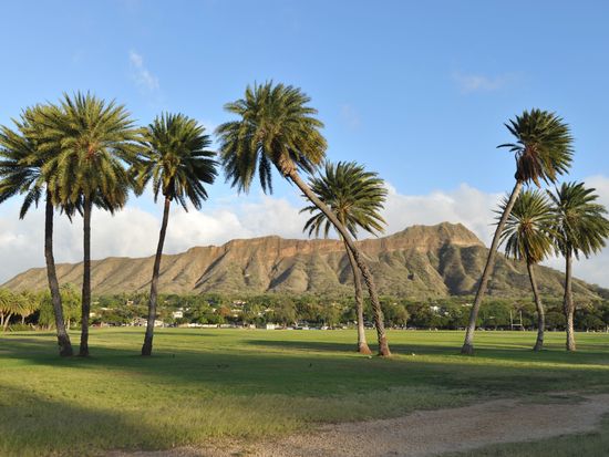 Dh side view with palm tree2