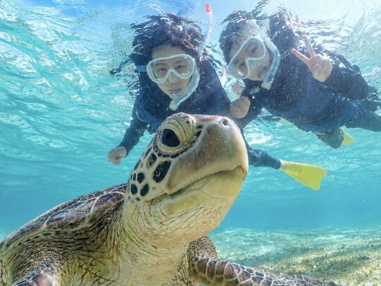 【宮古島｜★大人気ウミガメシュノーケル】当日予約&手ぶらOK！高評価！プロガイドがサポート！データ全て無料プレゼント《女性ガイド対応可》