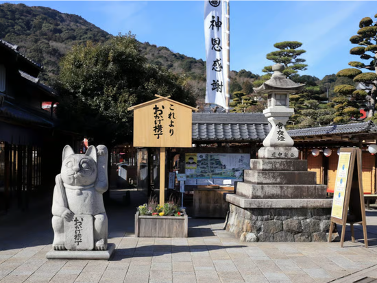 おかげ横丁_猫