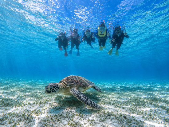 宮古島【夏休みセール】ウミガメシュノーケル｜手ぶら！当日予約！写真・動画データ無料プレゼント《ファミリー・学生・カップル大人気》の写真3