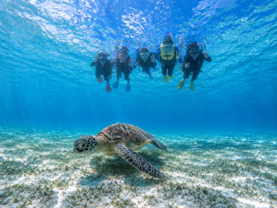 宮古島【夏休みセール】ウミガメシュノーケル｜手ぶら！当日予約！写真・動画データ無料プレゼント《ファミリー・学生・カップル大人気》