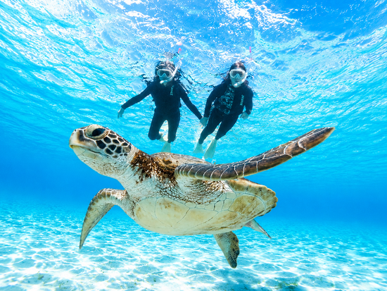 宮古島【夏休みセール】ウミガメシュノーケル｜手ぶら！当日予約！写真・動画データ無料プレゼント《ファミリー・学生・カップル大人気》の写真2