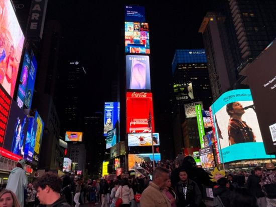 ニューヨーク日帰り観光ツアー　 5時間滞在で人気スポットを効率よく巡る＜貸切／日本語ドライバーガイド／ワシントンD.C.発＞