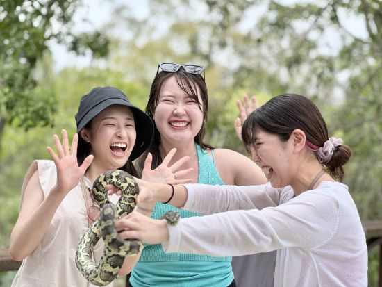 アサートン高原＆星空フォトツアー　ロックワラビー餌付けや野生動物の観察も楽しめる！ ＜日本語ガイド／ケアンズ発着＞