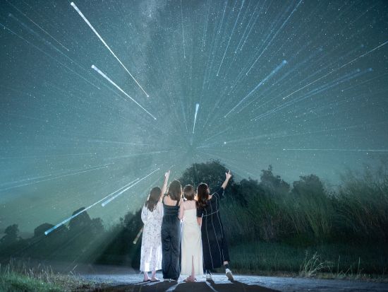 アサートン高原＆星空ツアー　ロックワラビー餌付けや野生動物の観察も楽しめる！ ＜日本語ガイド／ケアンズ発着＞