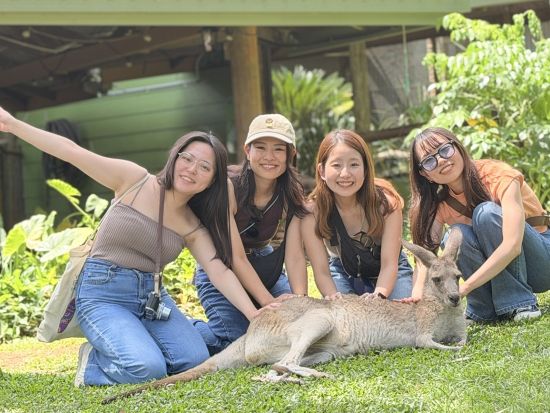 アサートン高原＆星空フォトツアー　ロックワラビー餌付けや野生動物の観察も楽しめる！ ＜日本語ガイド／ケアンズ発着＞