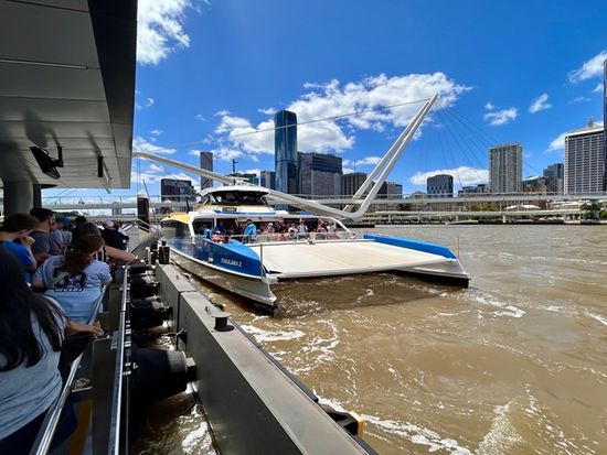 Citycat2