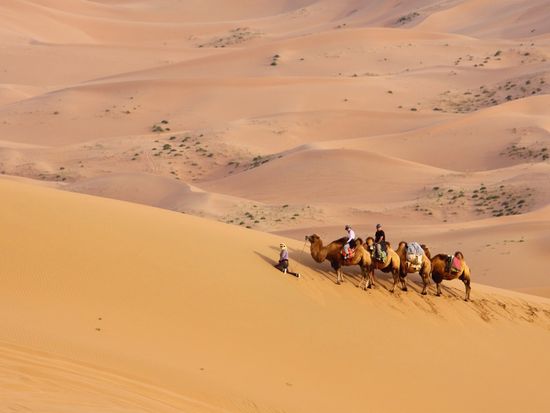 Mongolia_Gobi_shutterstock_41264254