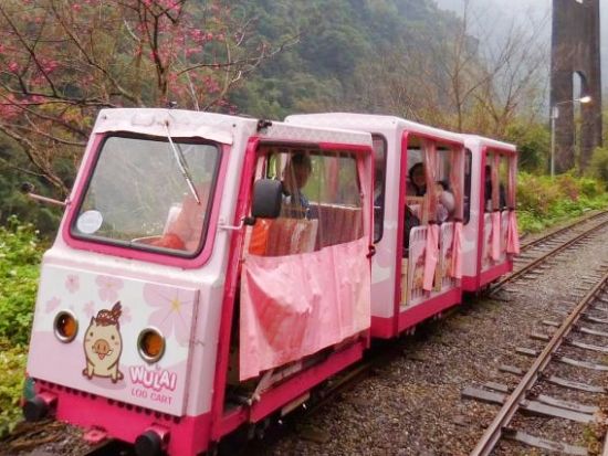 烏来観光トロッコ　乗車券事前予約サービス　雲仙楽園または内洞国家森林遊楽区とのセットプランあり
