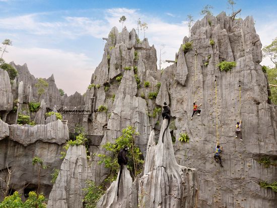 Rock Wall Climb_Back