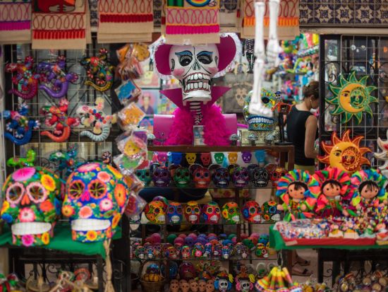 【トランジットにも最適】メキシコシティ半日観光ツアー　世界遺産ソカロ広場＆シウダデラ市場を堪能＜4時間／専用車／日本語ガイド／メキシコシティ空港発着＞