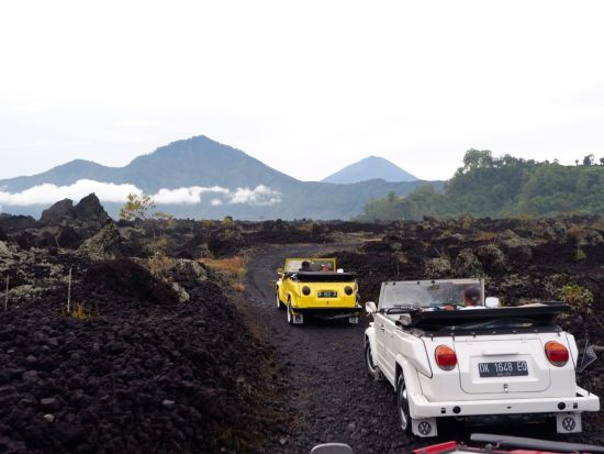 フォルクスワーゲン・ジープで行く　バトゥール山サファリツアー ＜昼食付／英語ドライバーガイド＞