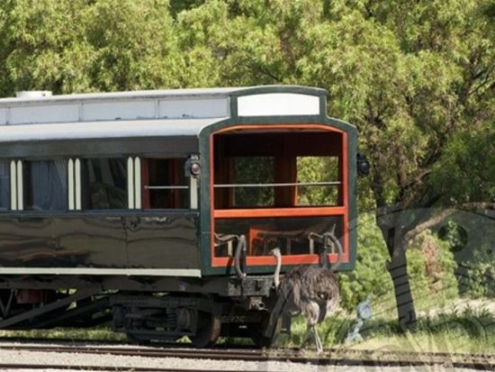ロボスレイル3泊4日豪華列車の旅　ケープタウン～プレトリア間を優雅に横断＜駅発着／英語＞