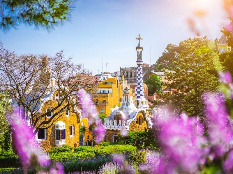 Spain_Barcelona_Park Guell_Lavender_flower_shutterstock_1145430401