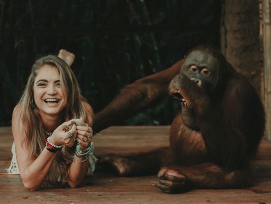 ロンボク・ワイルドライフパーク 「オランウータン・インタラクション」　事前予約サービス