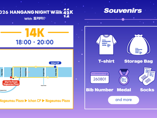 8月1日限定！漢江ナイトウォーク2026　夜の漢江沿いを14km歩くウォーキングイベント ＜ソウル発＞