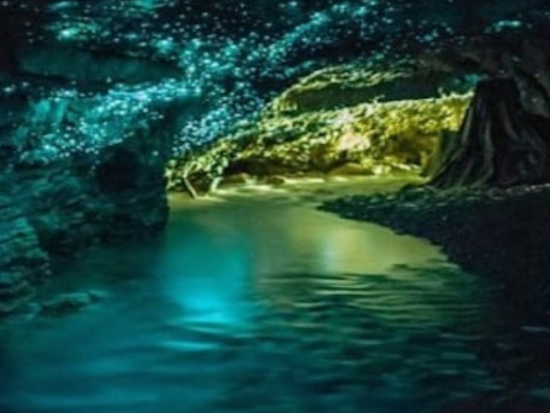 【貸切】マウントタンボリン観光ツアー　 土ボタル洞窟＋選べるスカイウォークまたはエコサファリ＜1～6名／6時間／日本語ガイド／ゴールドコースト発＞