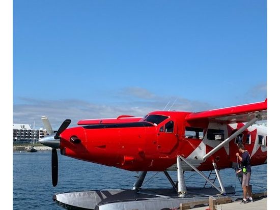 ビクトリア水上飛行フライト体験　海岸線と名所の空中ビューを満喫＜20分＞