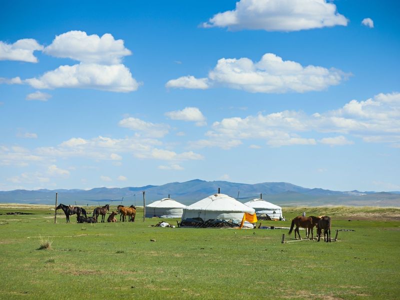 Mongolia_Ger_123RF_22145082