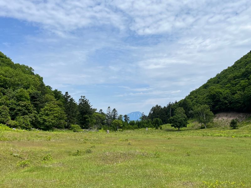 中の島グリーンシーズン
