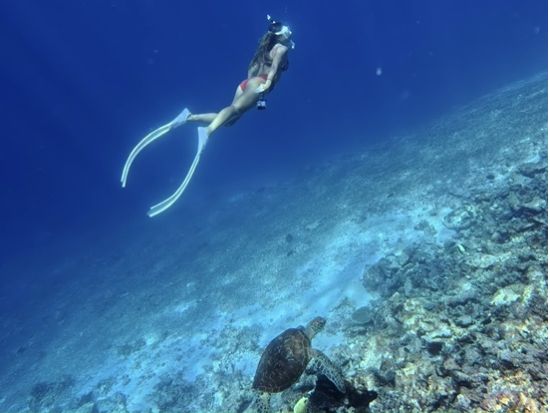宮古島・八重干瀬グラスボート＆シュノーケリングツアー　日本最大級サンゴ礁と熱帯魚を満喫＜ドローン撮影無料／池間島発／約3時間＞
