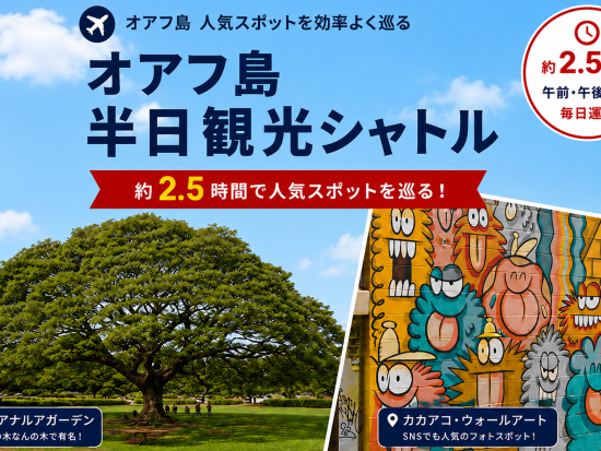 オアフ島半日観光　東海岸人気絶景スポットを巡る！ ダイアモンドヘッド＋ハナウマ湾ルックアウト＋ココクレーター植物園など＜午前・午後／日本語ガイド＞ 