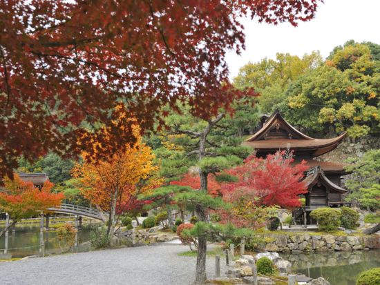 四季桜・香嵐渓 紅葉巡りツアー 選べるコース：虎渓山永保寺 または 蒲郡オレンジパーク＆近江牛すき焼きランチ　名古屋発着　1名様からツアー催行