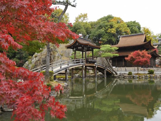四季桜・香嵐渓 紅葉巡りツアー 選べるコース：虎渓山永保寺 または 蒲郡オレンジパーク＆近江牛すき焼きランチ　名古屋発着　1名様からツアー催行