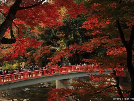 香嵐渓_待月橋