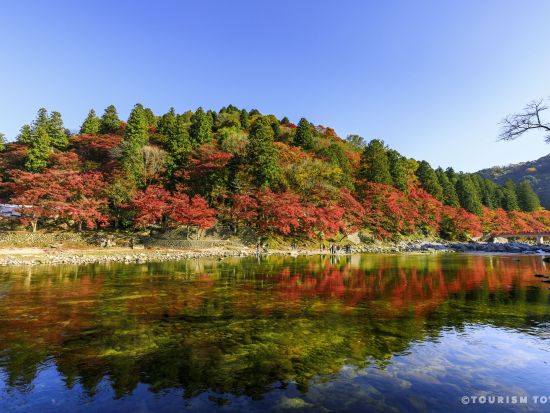 四季桜・香嵐渓 紅葉巡りツアー 選べるコース：虎渓山永保寺 または 蒲郡オレンジパーク＆近江牛すき焼きランチ　名古屋発着　1名様からツアー催行