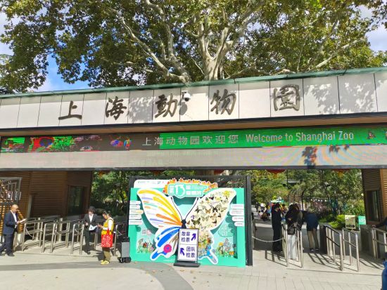 親子旅行限定！上海西郊動物園＆海洋水族館＆夜景観賞盛りだくさん1日観光