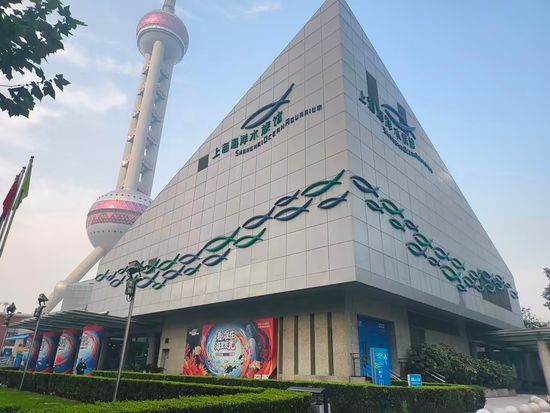 上海海洋水族馆2