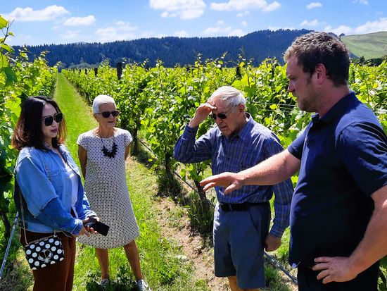 MW&FT (vineyard walk-03)