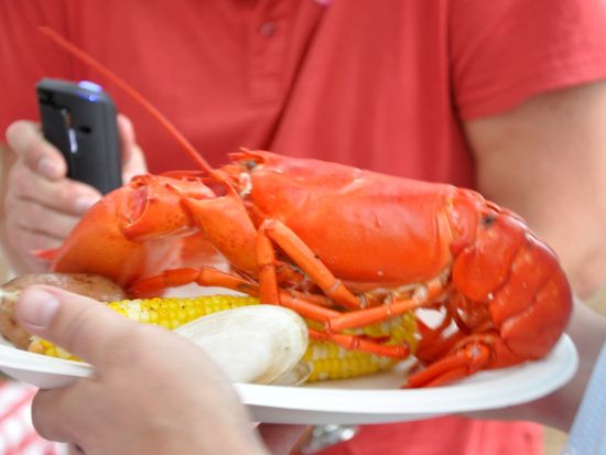 ボストン・デラックスロブスターディナーツアー　地元沖でその日に捕れるおすすめロブスター店へご案内 夜景ミニドライブ付き＜日本語ガイド／往復送迎＞